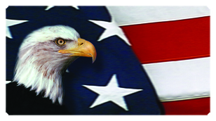 DSC700 410 With Love and Honor